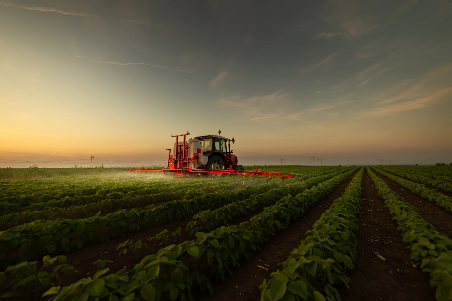Imagem de destaque para artigo sobre aprovação de agrotóxicos no Brasil publicado no Blog AgriQ | Créditos: Shutterstock
